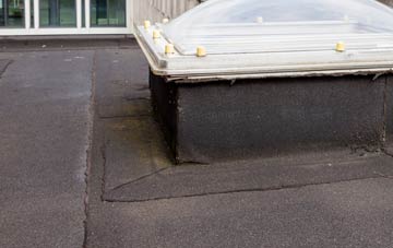 disadvantages of Ingst flat roofs