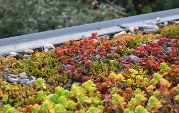 the cost of Ingst green roof installation