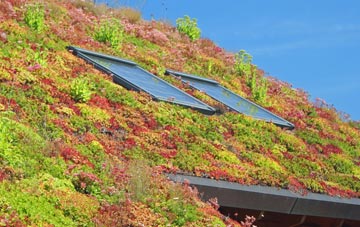 Ingst living roof systems
